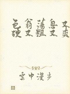 色翁荡息又大又硬又粗又爽电影