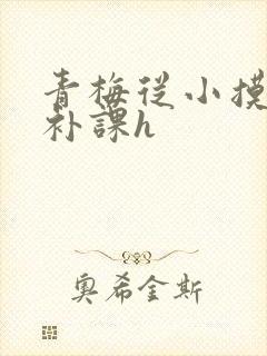 青梅从小摸到大补课h