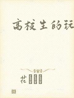 高校生的玩物封面