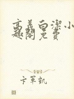 高义白洁小说笔趣阁免费封面