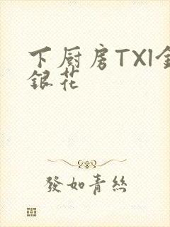 下厨房TXl金银花