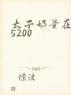 太子奶爸在花都5200