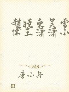 赵晓东吴雪晴郑伟王潇潇小说