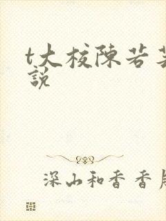 t大校陈若芸小说