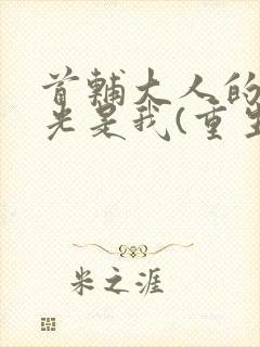 首辅大人的白月光是我(重生)