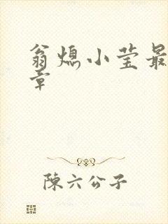 翁熄小莹最新节章封面