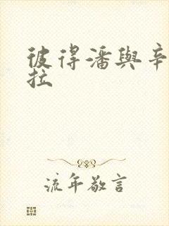 书籍封面