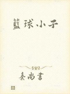 篮球小子