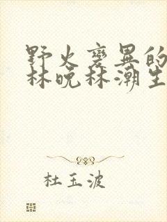 野火变异的父爱林晚林潮生
