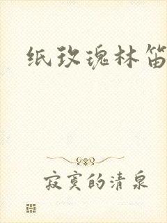 纸玫瑰林笛儿