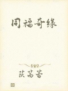 同福奇缘封面