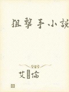 狙击手小说