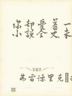 你却爱着一个他小说全文未删减免费