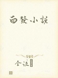 白发小说