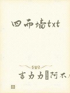 四面墙txt
