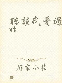 听说我爱过你txt