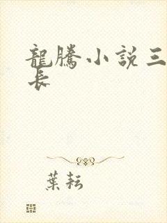 龙腾小说三宝局长