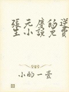 张元庆的逆袭人生小说免费阅读封面