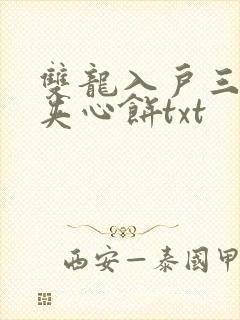 双龙入户三人行夹心饼txt