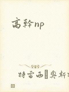 高干np