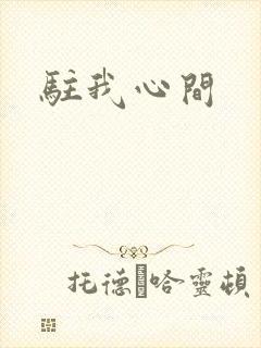驻我心间封面