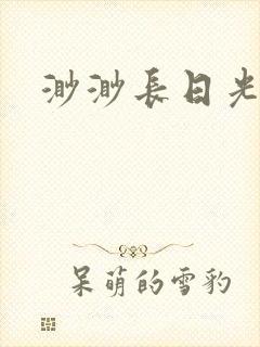 渺渺长日光阴封面