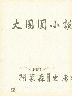 大团圆小说封面