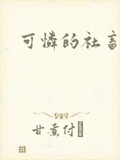 可怜的社畜分手封面