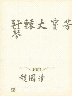 轩辕大宝芳菲雅琴