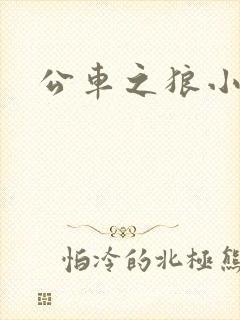 公车之狼小说