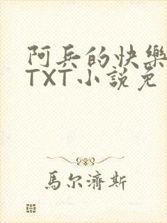 阿兵的快乐生活TXT小说免费阅读全章封面