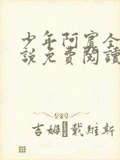 少年阿宾全文小说免费阅读笔趣阁