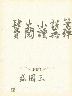 肆火小说笔趣免费阅读无弹窗封面