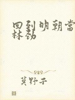 回到明朝当王爷林劲
