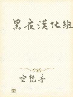 黑夜汉化组