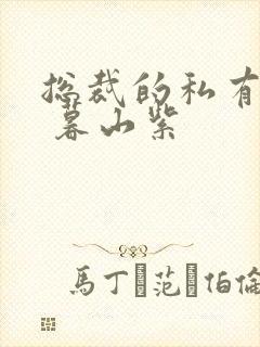 总裁的私有宝贝 暮山紫