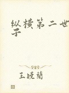 纵横第二世界宽子封面