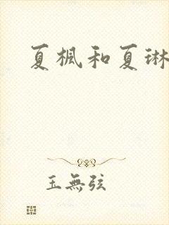 夏枫和夏琳封面