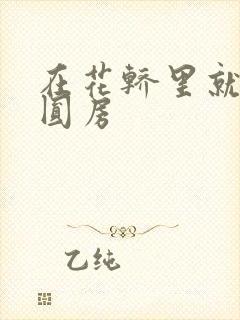 在花轿里就开始圆房封面