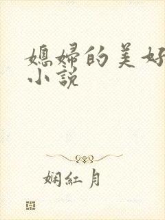 媳妇的美好时代小说封面