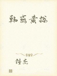 韩燕黄总