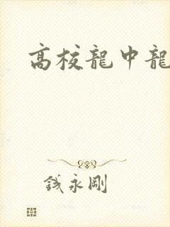 高校龙中龙