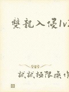 双龙入侵1v2