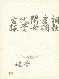 古代闺房调教h揉贵女调教记封面