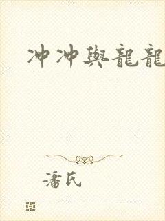 冲冲与龙龙封面