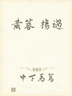 黄蓉 杨过