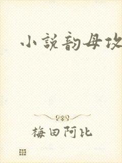 小说韵母攻略封面