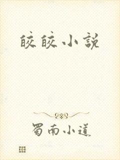 皎皎小说封面