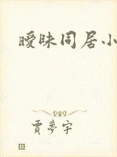 暧昧同居小说
