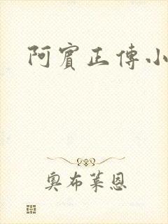阿宾正传小说